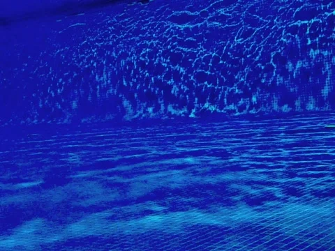Swimming Stock Footage 490404