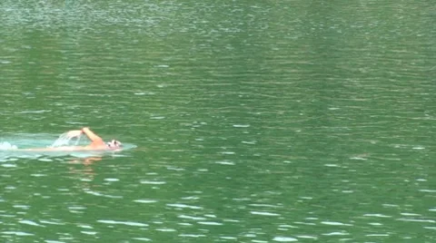 Swimming Stock Footage 8563756