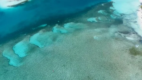 Swimming Stock Footage 101736721