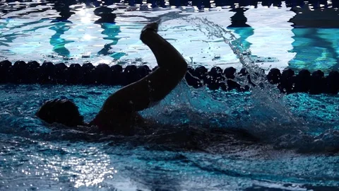 Swimming 動画素材 103940605