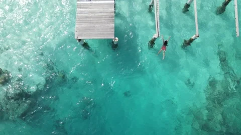 Swimming Stock Footage 206006689