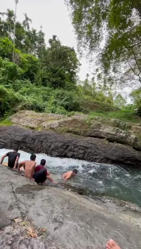 Swimming Video stock 208896743