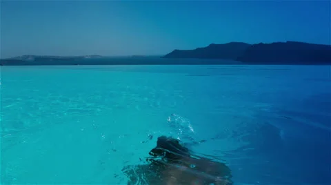 Swimming in infinity pool Stock Footage 40619039