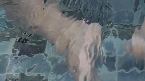 Swimming legs slow motion Stock Footage 89754749
