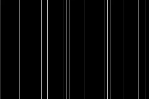 Swimming lines1 Stock Footage 138097