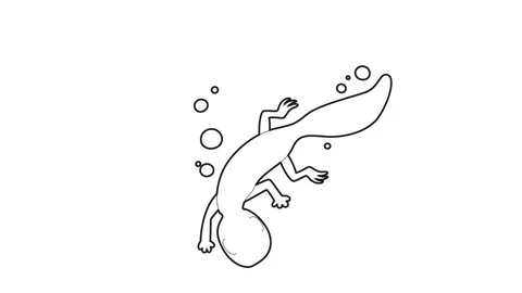 Swimming lizard icon animation Stock Footage 161043665