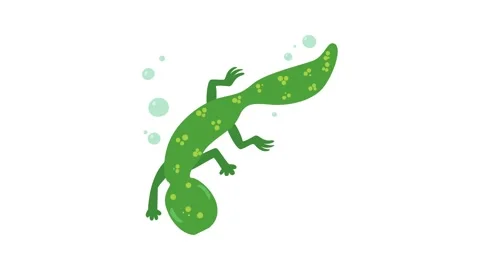 Swimming lizard icon animation Stock Footage 168928133