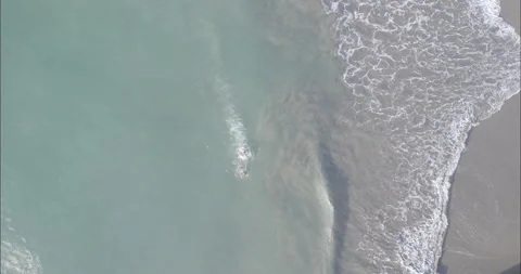 Swimming at Low Tides Stock Footage 248402215