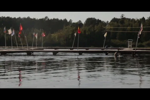Swimming next to dock on lake Stock Footage 37229441