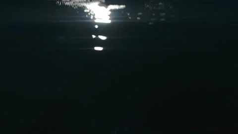 Swimming at night Stock Footage 169208368