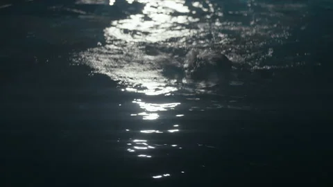 Swimming at night in pool Stock Footage 169209199