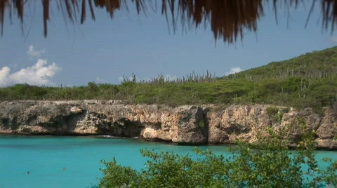 Swimming in the ocean Stock Footage 93120