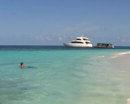 Swimming in ocean Stock Footage 378377