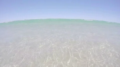 Swimming in the ocean Stock Footage 77468538