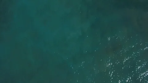 Swimming in the ocean Stock Footage 104994362