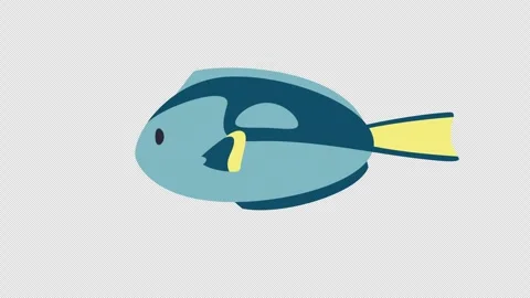 Swimming paracanthurus. Stock Footage 252360352