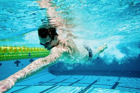 Swimming Stock Photos