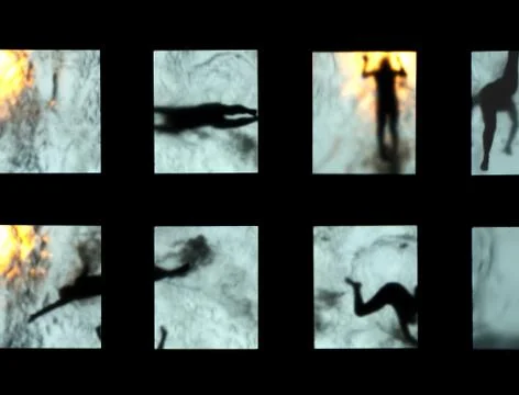 Swimming Stock Photos