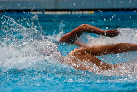Swimming 스톡 사진