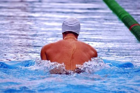 Swimming Stock Photos
