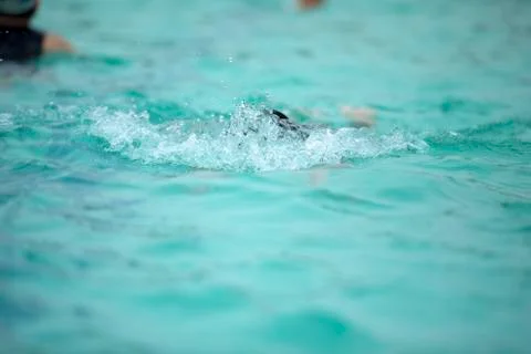 Swimming Stock Photos