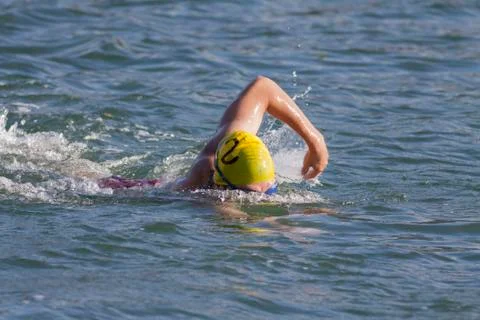 Swimming. Stock Photos