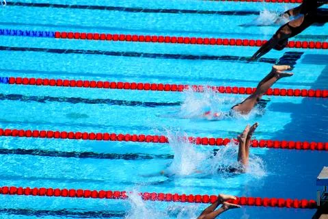 Swimming Stock Photos