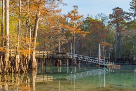 Swimming Platform at the Springs Stock Photos