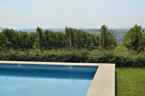 Swimming Poll by Vineyard Stock Photos