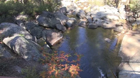 Swimming pond Video stock 42533897