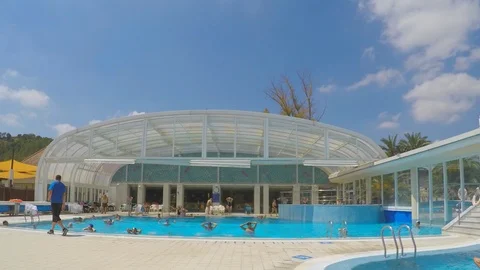 Swimming Pool Aerobics Instructor and His Crowd Stock Footage 88650252