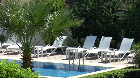 Swimming Pool And Palm Tree Stock Footage 95938751