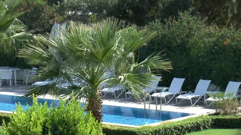 Swimming Pool And Palm Tree Holiday Resort Stock Footage 121263016