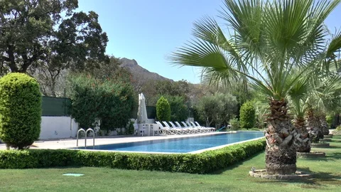 Swimming Pool And palm Trees Stock Footage 95138009