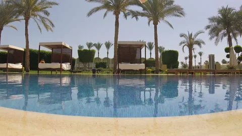 Swimming pool and palms in eastern country Stock Footage 105099370