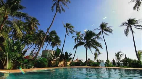 Swimming pool and palms loop Stock Footage