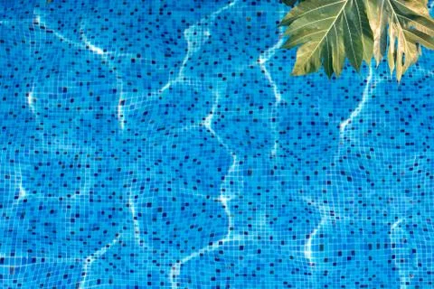 Swimming pool background from top view, ripple water Stock Photos
