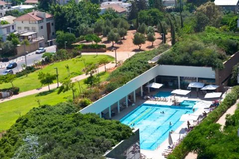 Swimming pool between trees Stock Photos
