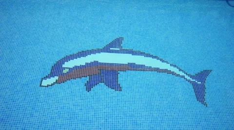 Swimming Pool Bottom with Dolphin Stock Footage 40491446