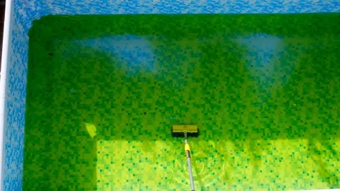 Swimming Pool Cleaning.Algae in the pool. Stock Footage 172177321