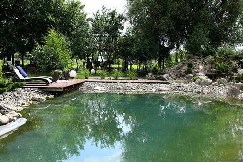 The swimming pool is designed among the backyard garden Stock Photos