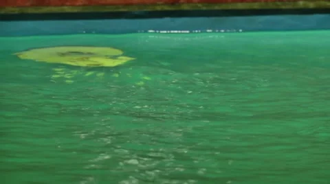 Swimming pool filter . Water Stock Footage 61269816