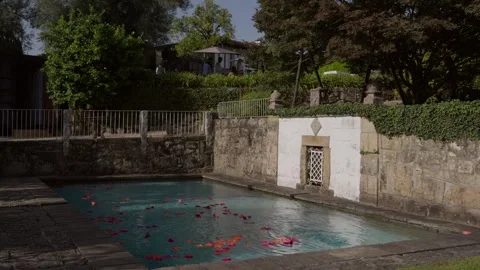 Swimming Pool with Floating Rose Petals in Historic Garden Stock Footage 337778171