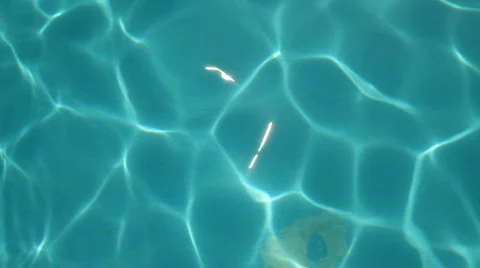 Swimming Pool 스톡 동영상 508408