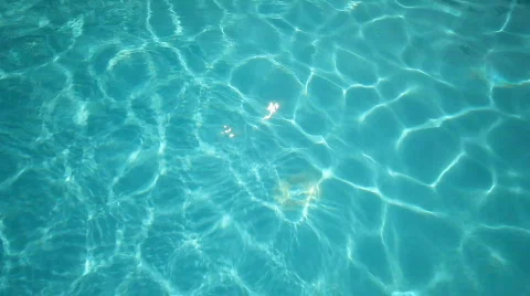 Swimming Pool Vídeo Stock 508791