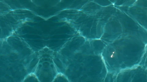 Swimming Pool Stock Footage 576113
