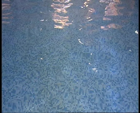 Swimming Pool 動画素材 728135