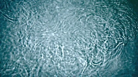 Swimming pool. Stock Footage 796069