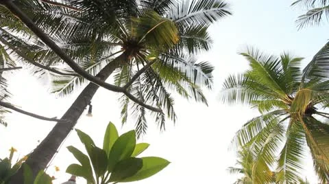 Swimming pool Video stock 11389294