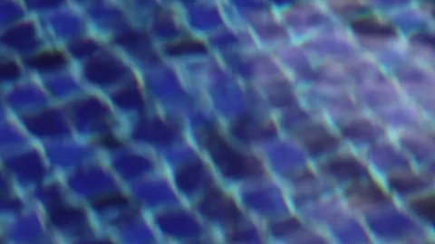 Swimming pool Stockbeeldmateriaal 73227247